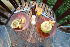 A meal of potatoes and courgettes